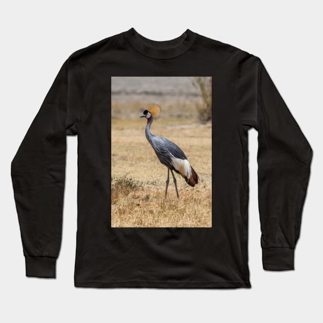 Grey Crowned Crane Long Sleeve T-Shirt by njones